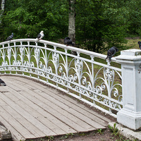 Мост в парке