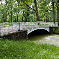 Мост в парке