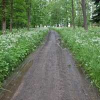 Александровский парк