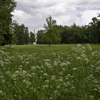 Александровский парк