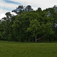 Александровский парк