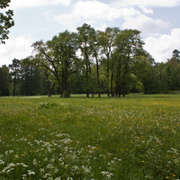Александровский парк