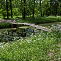 Пешеходный мостик