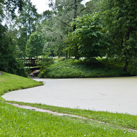 Кухонный пруд