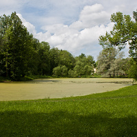 Кухонный пруд