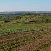 Алтаевские дороги