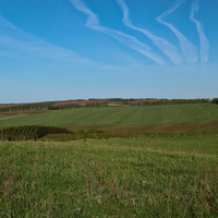 Алтаевские поля