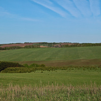 Окрестности Алтаево