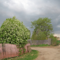 Сыктывкар 2014 - Лесозавод