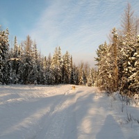 Зимняя дорога Саранпауль-Щекурья. Югра