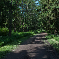 Александровский парк