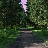 Александровский парк