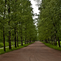 Александровский парк