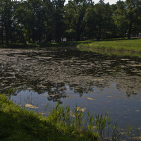 Фасадный пруд