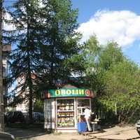 Сыктывкар 2014 - ул. Оплеснина