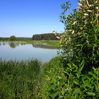 Ильинское озеро.