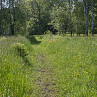 Александровский парк