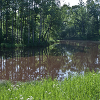 Нижний Ламский пруд