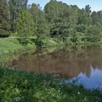 Нижний Ламский пруд