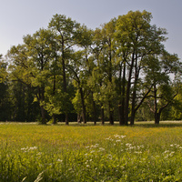 Александровский парк