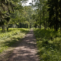 Дорожка в парке