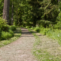 Дорожка в парке