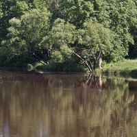 Нижний Ламский пруд