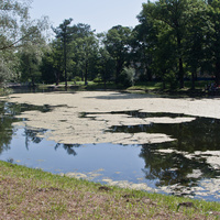 Детский пруд