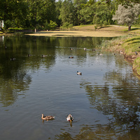 Детский пруд