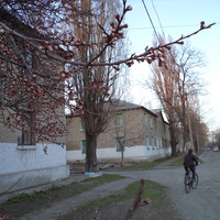 улица Шевченко