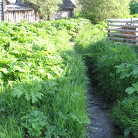 Выльгорт 2014