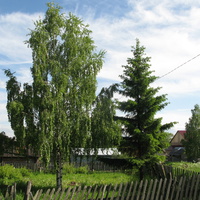 Выльгорт 2014 - ул. Полевая