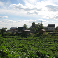 Выльгорт 2014 - с ул. Полевая