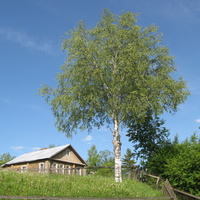 Выльгорт 2014