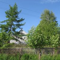 Выльгорт 2014