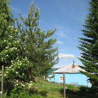 Выльгорт 2014 - c ул. Вавилина