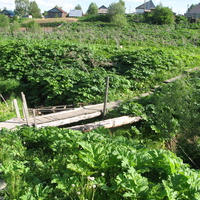 Выльгорт 2014