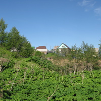 Выльгорт 2014