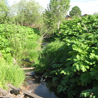 Выльгорт 2014