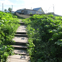 Выльгорт 2014