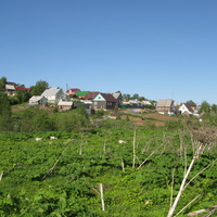 Выльгорт 2014