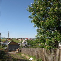 Выльгорт 2014