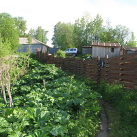 Выльгорт 2014