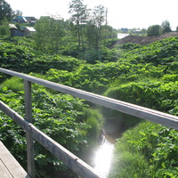 Выльгорт 2014