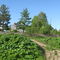 Выльгорт 2014