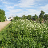 Выльгорт 2014