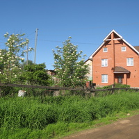 Выльгорт 2014