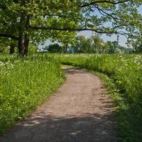 Дорожка в парке