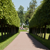 Аллея в парке