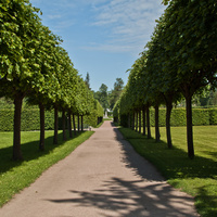 Аллея Победы